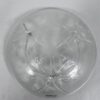 Lalique Clear Crystal Volubilis Dish
