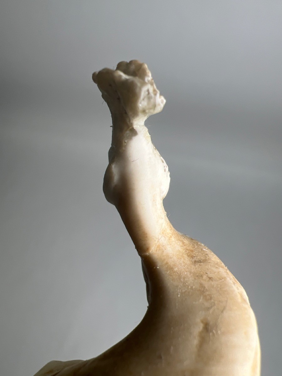 Giuseppe Armani Figurine "Vanities" 1691C - Limited Edition (SPG055426)