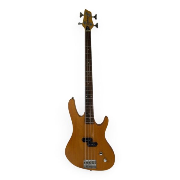 Washburn XB-100/NM 4-String Electric Bass Guitar – - Pickup Only (SPG066601)